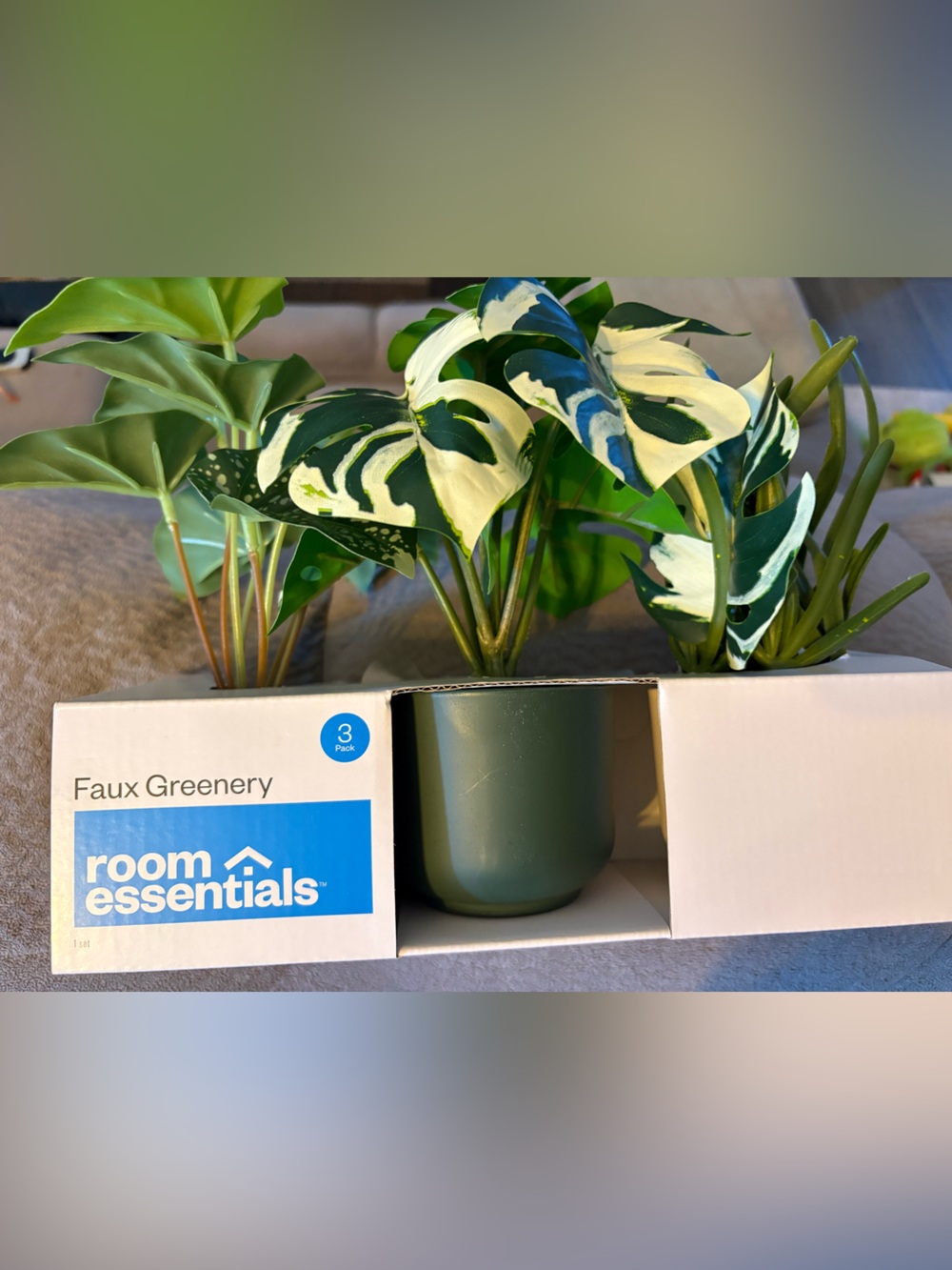 Room Essentials Variegated Faux Philodendron in Green and Cream